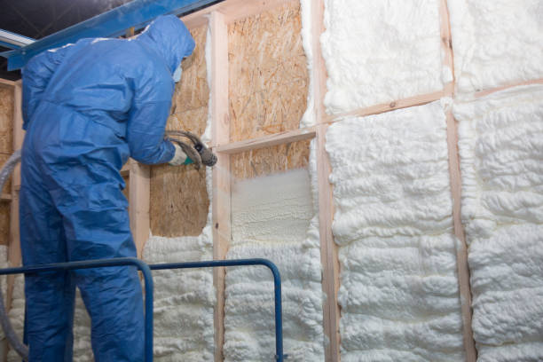 Best Commercial Insulation Services  in Lorain, OH